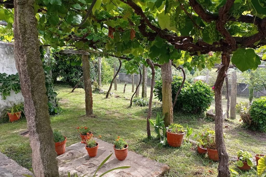 Willa A Barraca. Casa Con Jardin Y Vistas A La Ria Bueu Zewnętrze zdjęcie